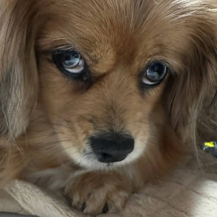 167a8da0 4d91 49b9 a6bf 93a4e87486ee 1677273726141