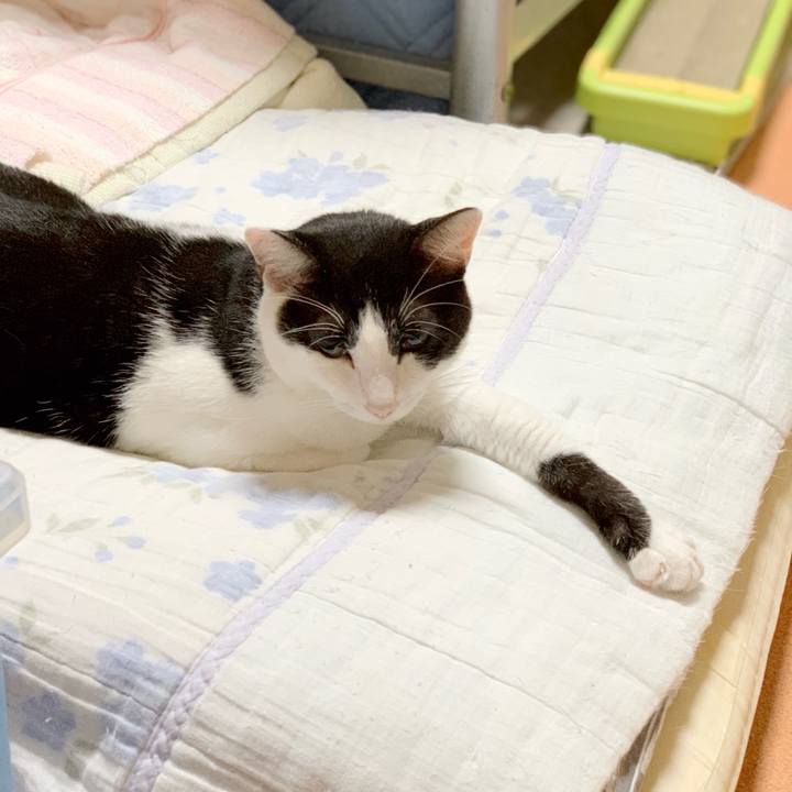 167aa41a 0ed8 48bc 87e5 3ee787ae4ef5 1538879810987