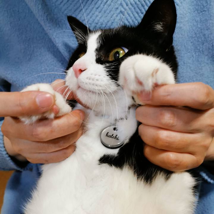 167ab371 ea38 49d8 9b70 2fd45f9aa8f2 1639209427805