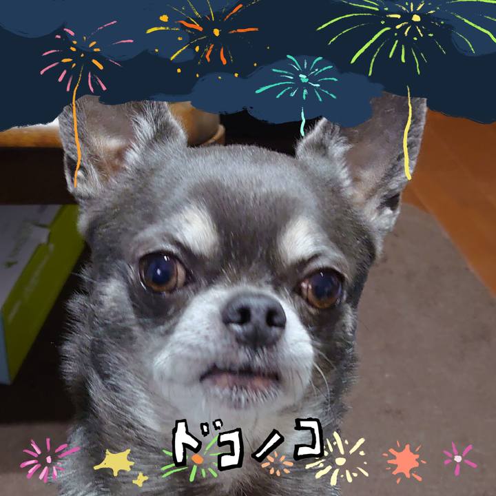 167ab40a 39c2 46fa 835d 1966bc0497c0 1723295429343