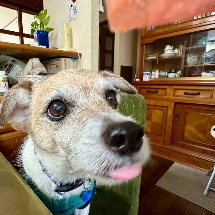 167adb40 eee1 4472 adf9 cef1091cfd73 1685610005164