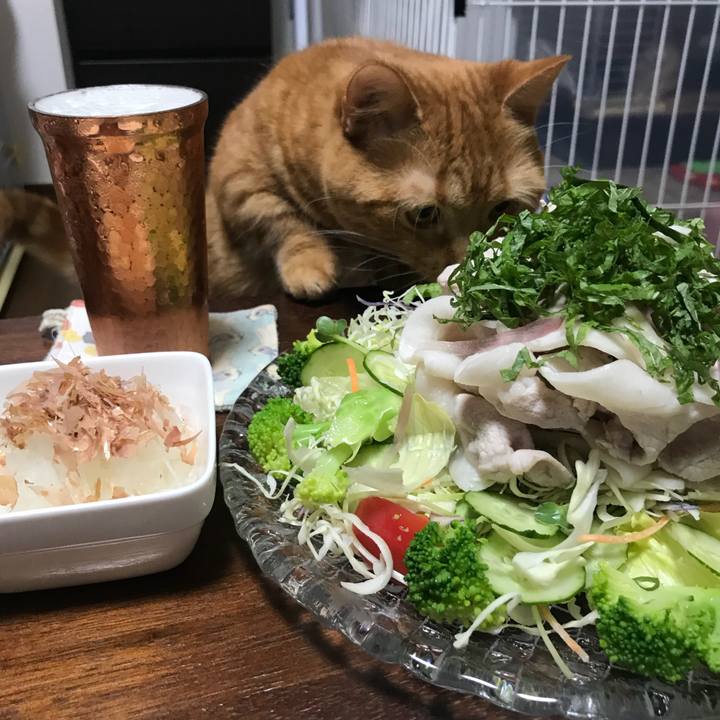 167af1cf 36f7 4117 bc66 b587a04f72bb 1531998959654