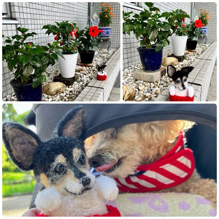 167af738 6e56 4dda 9d5b 52ab59f6e8db 1662774491788