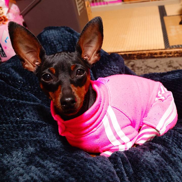 167b2a5c 1b3e 4ce3 af80 b403ad4caa1c 1763910615017