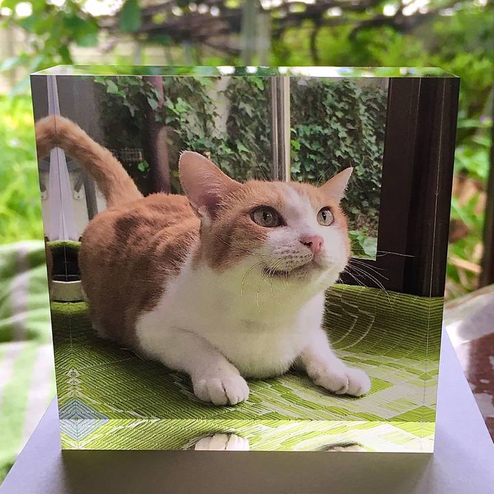 167b2ffa e809 4154 be1a 19e93f975daf 1621633586233