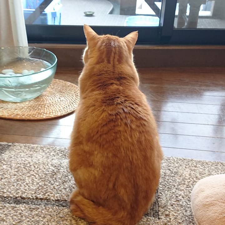 167b448d 67d8 4bd3 9736 a7fd586bb8bd 1550704015986