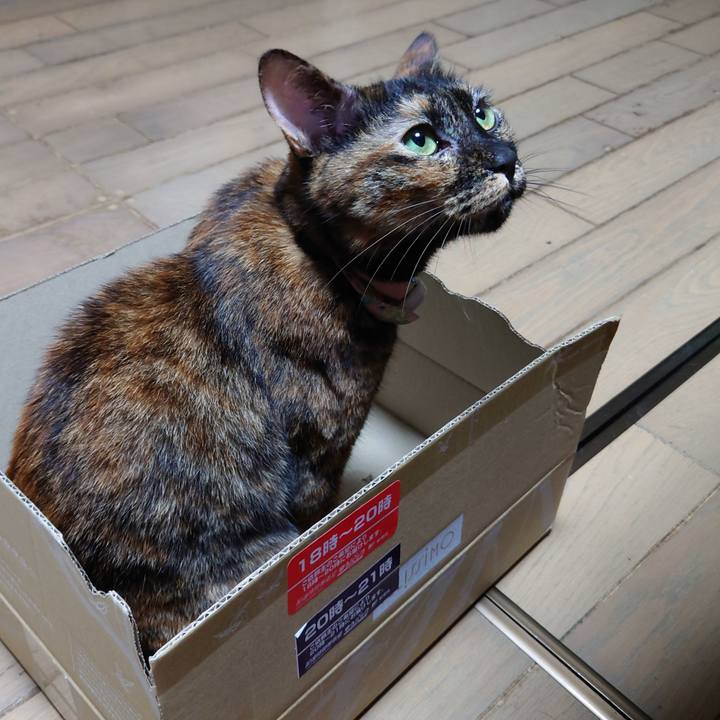 167b9a7f b8f2 4d2d b07e a1981f22f736 1632397337422