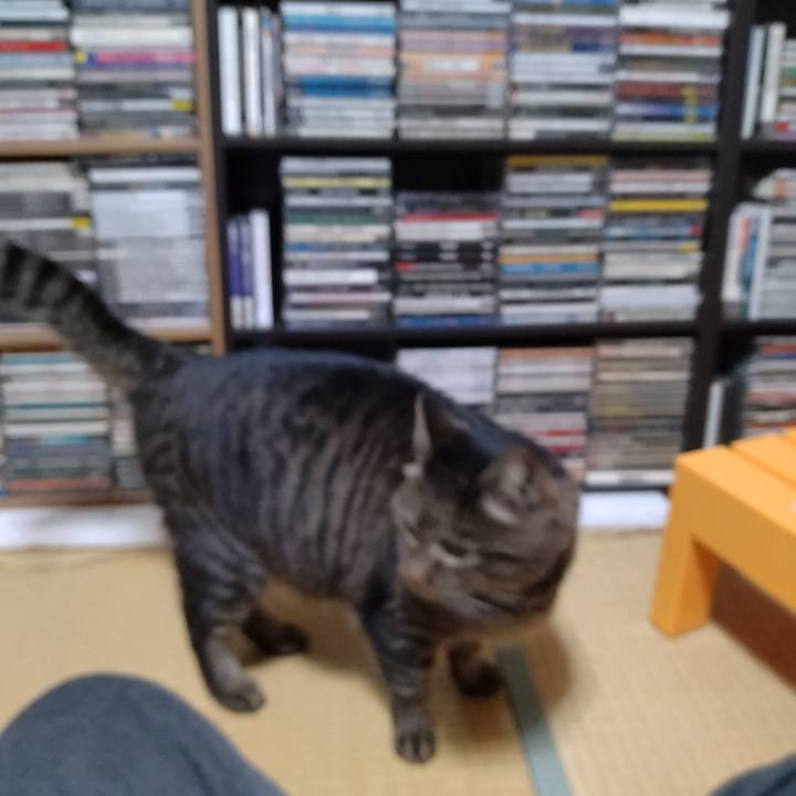 167c0327 5046 431d 985a a4185bc21a60 1671271658464