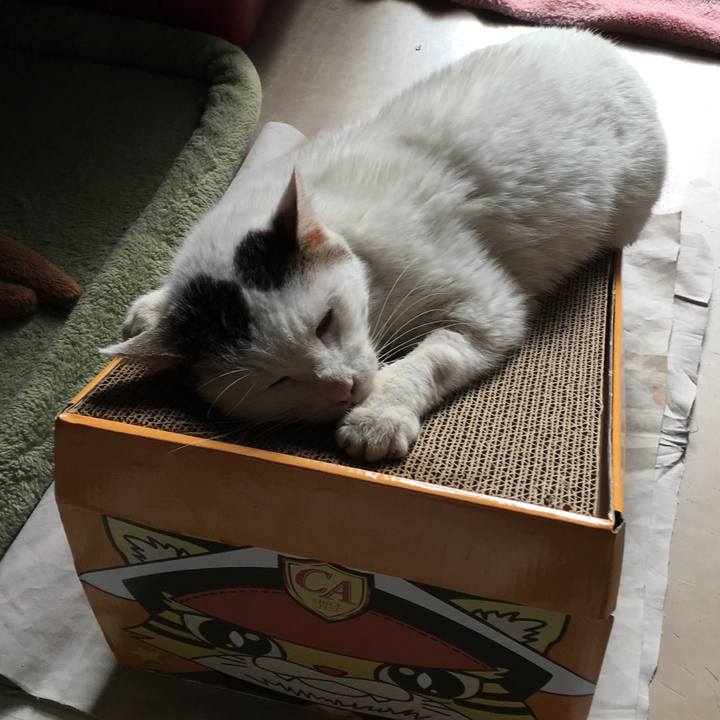 167c37b9 97f3 4565 b3a1 cac7569775ca 1516943121232