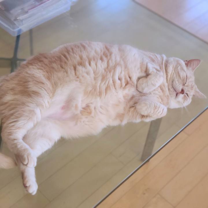 167c50fd d22e 41e9 8728 4b331fe880e4 1690446268037