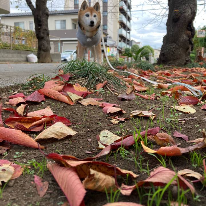 167c57c6 800f 4eee b9c9 0226fedcacd5 1763429416072