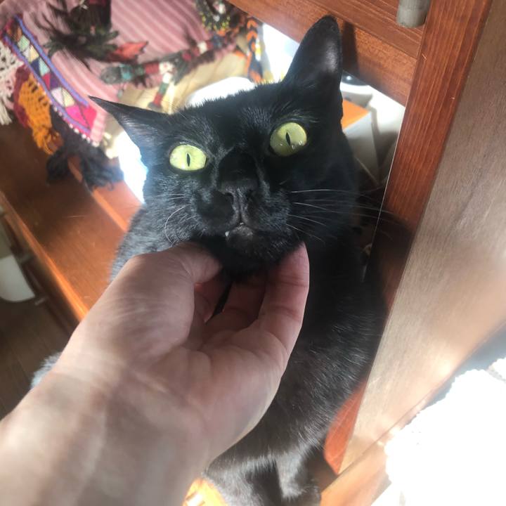 167c6998 bf9a 4c56 8207 0a730bf2c444 1623570681640