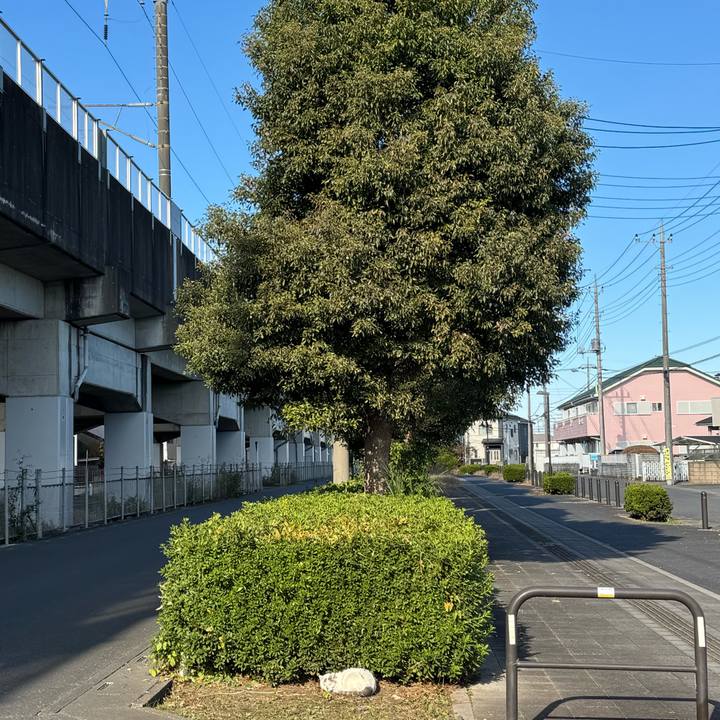 167ca134 1978 4a97 b620 ea11cb8464cc 1763518845078