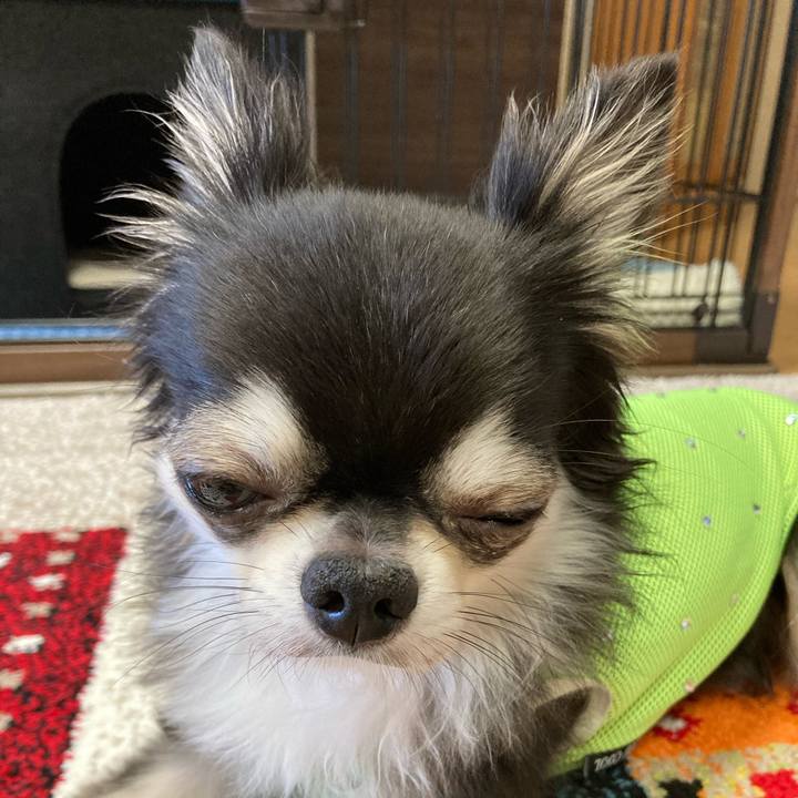 167cf08c a3e6 4d66 9487 fd67df2ece4d 1695047835121