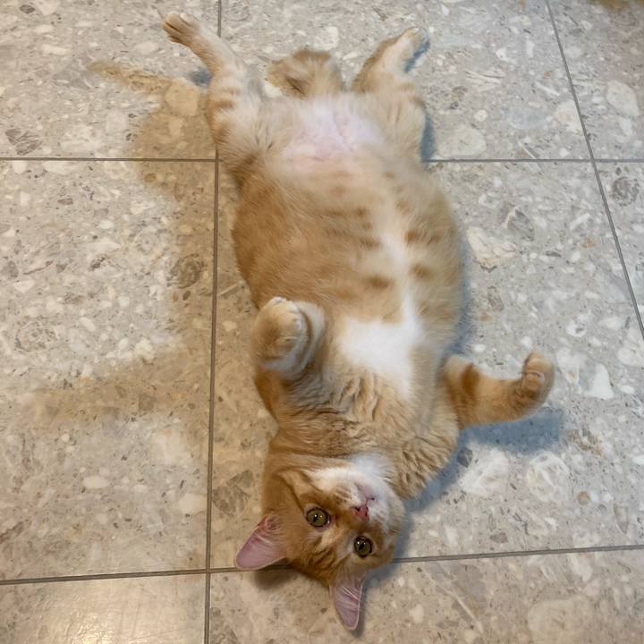 167d001f b571 4e82 9100 5333fb3f3259 1760016321571