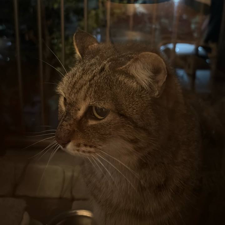 167d2f7b 7b0c 4ce9 9e45 d6901ce476ac 1774356381068