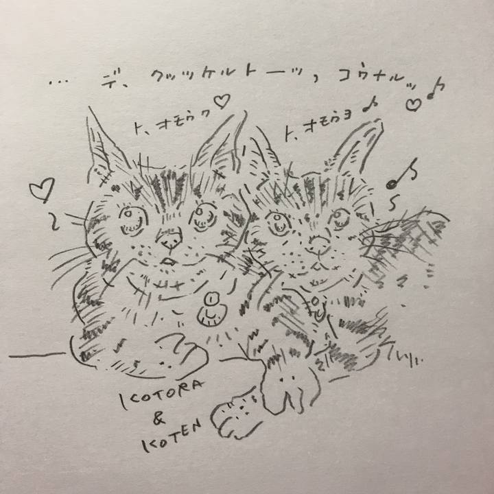 167d3429 3691 452e a518 085d11b91fc2 1591708504275