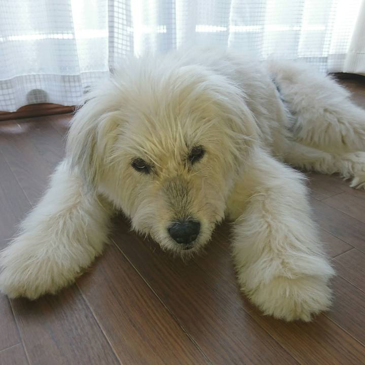 167d7e90 b79a 4a20 b826 dfe15d688d71 1562798532032