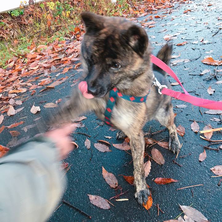 167d8cb2 0e05 4d21 b0c2 5827203fd3c3 1512601214540