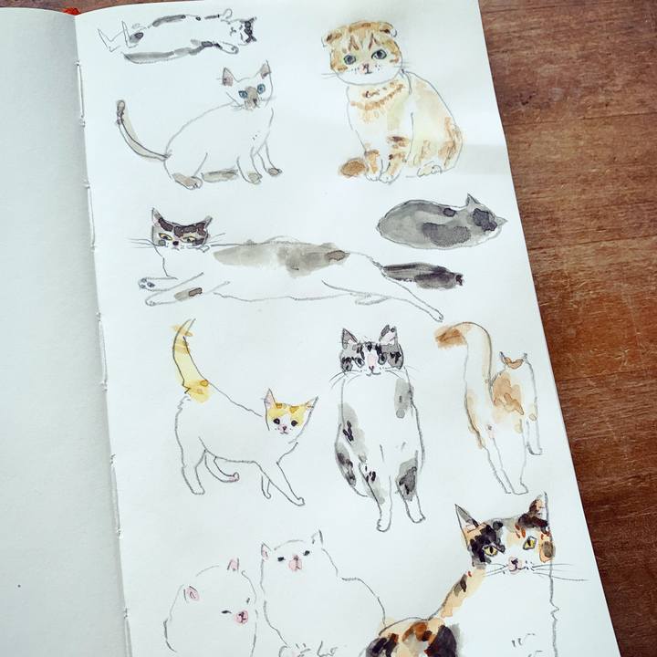 167dbad2 fb56 47d7 b349 388f1663bc50 1619054116711