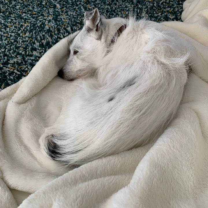 167dd379 a433 4a41 b324 d2363fb60f09 1710827543557