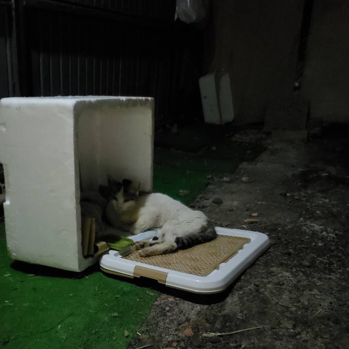 167de452 7a0a 4029 9d6f 91a73eda65e8 1756129262858