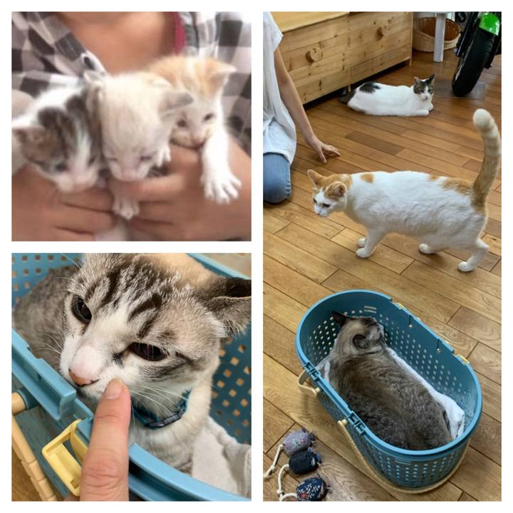 167e03fc 4a1a 42cd 9b69 e73e2c8cd28f 1659179803960