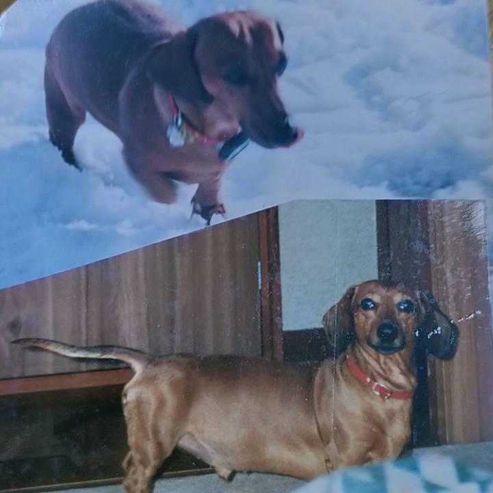 167e3832 1288 4bd8 9848 e4de88960bea 1766130208554