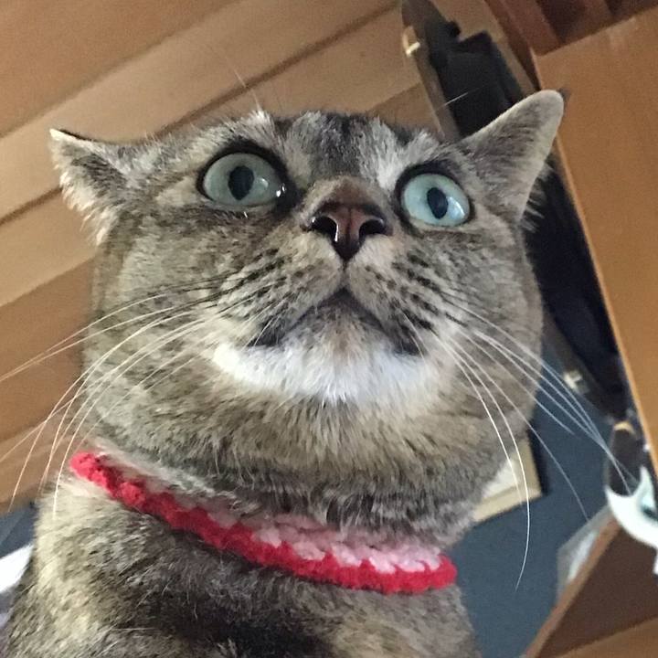 167e4d3e f2b5 491e 97cd fe087d8e1ccc 1681468255274