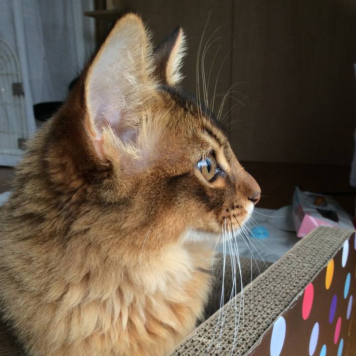 167e4f65 3fc4 40ff 8883 efbb0810fa31 1576546686646