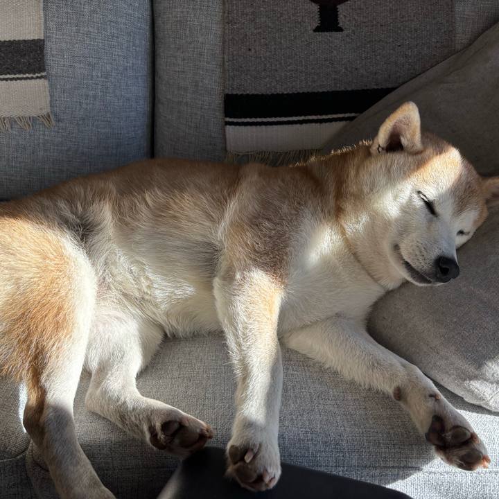 167ec0c4 47e9 4e92 88ad b4a9b0125e50 1736028625444