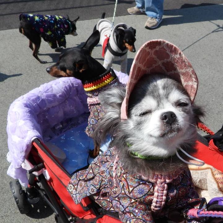 167f140f 27b3 4862 b0e2 541f2d166b34 1774162113247