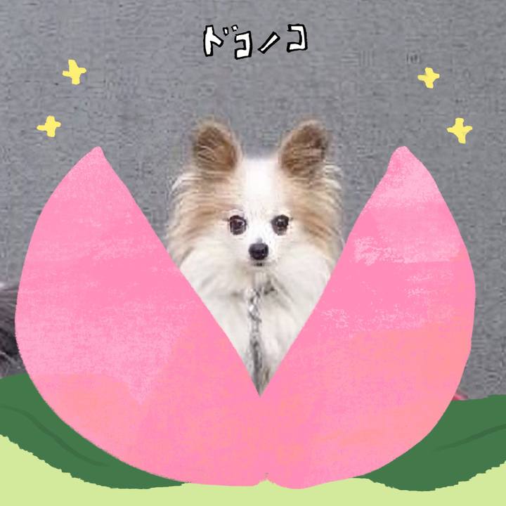 167f1ae9 91ca 4383 8cf2 e97f71aef4e8 1772327185175