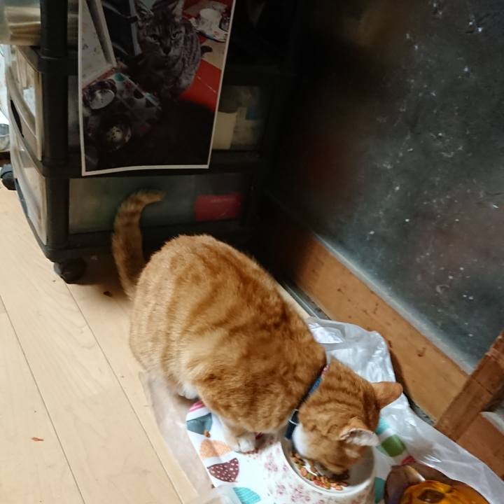 167fabcc 3cd4 4086 aa80 6c05eb4bd62f 1604174873028