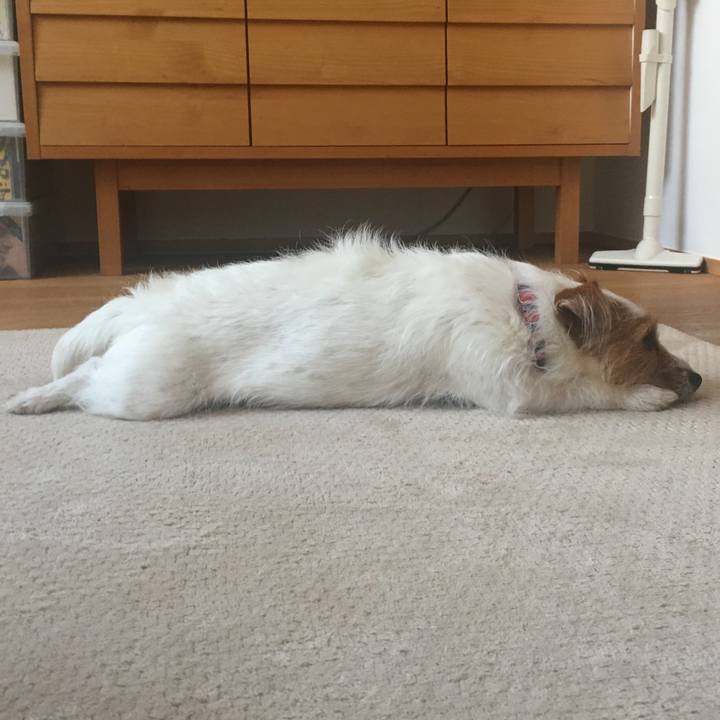 167fadc1 79d2 44c1 aec7 c6f5d07b7322 1516415980196