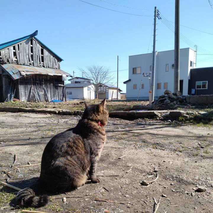 167fe1f3 37da 49fc b149 51b860cd7907 1679295382349