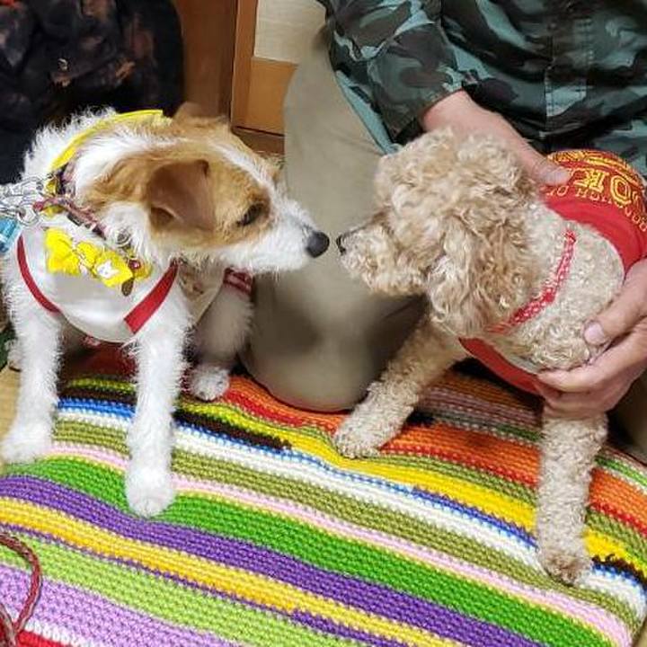 167fe911 d7c4 42f9 948a 88c6cac9f123 1556358535182