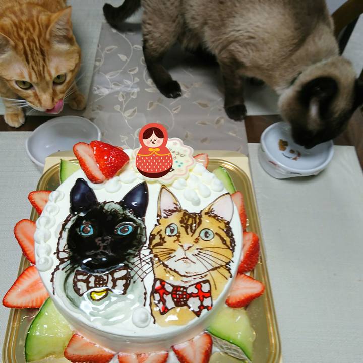 168011ab e428 425b 924b 2d9d61818f86 1527998108379