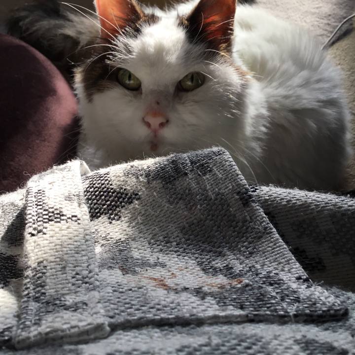 16804132 bb49 429f bd39 be9143222e7f 1578464015615