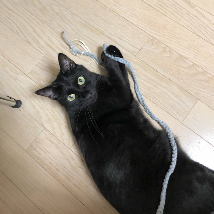 16804420 5f20 43bf 85aa 641da6c2e5c7 1632145254345