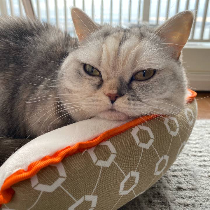 16806786 76d7 4278 b47c 81f081c5264b 1765601069275