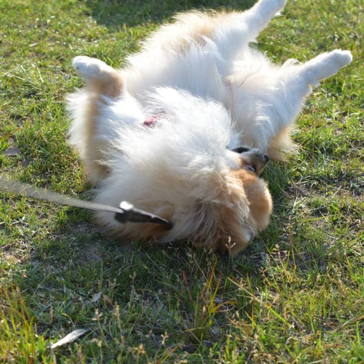 16806eff 0e11 4cbb b558 e122b3abad64 1524746910382