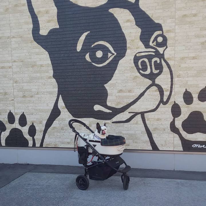 16808fd1 95cc 4468 b14a 48a61a625a13 1669555105997