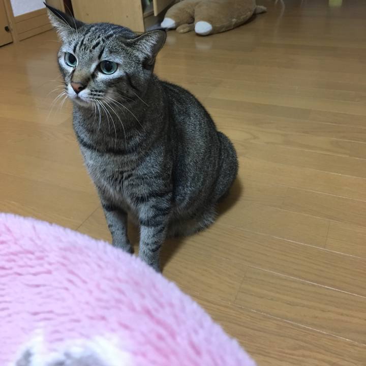 1680cd20 0bc2 4bf8 b36e a457daeaa28b 1510438129465