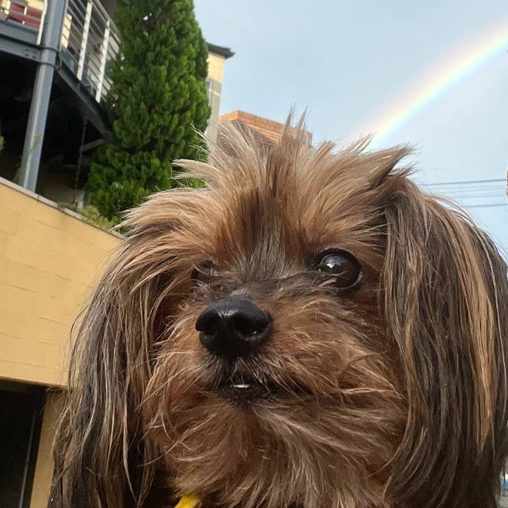 1680f528 6781 4a2f ba61 eb4518f4118a 1724722279083