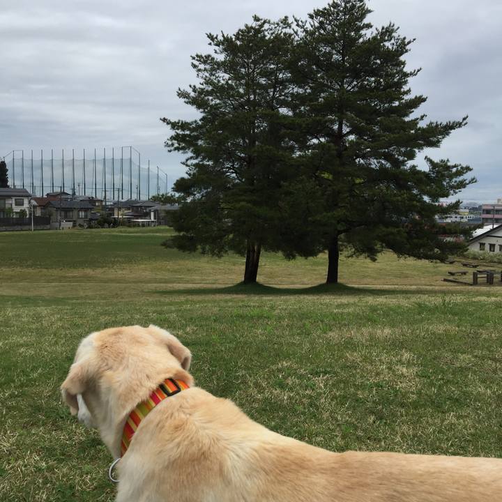 168139b7 467e 44a7 bad8 c47b582f71ec 1524621145595