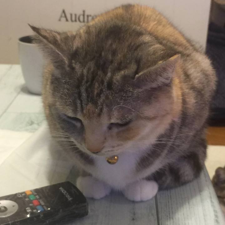 16816137 4570 43eb b2d8 7eba160fb211 1548256242077