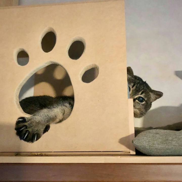 1681675d 6072 4f38 956d e1af44afce49 1595558359701