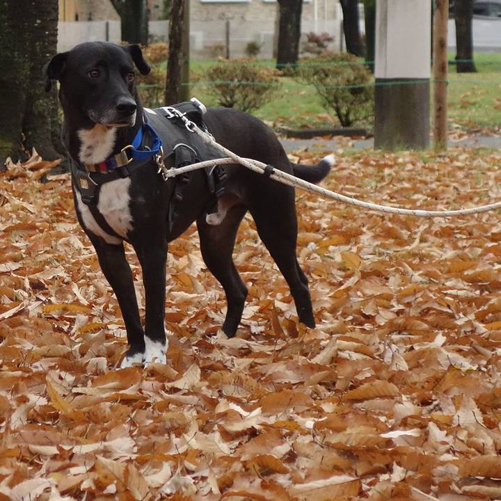 16817847 0745 467b a54f 66b7d5b98241 1639010704068