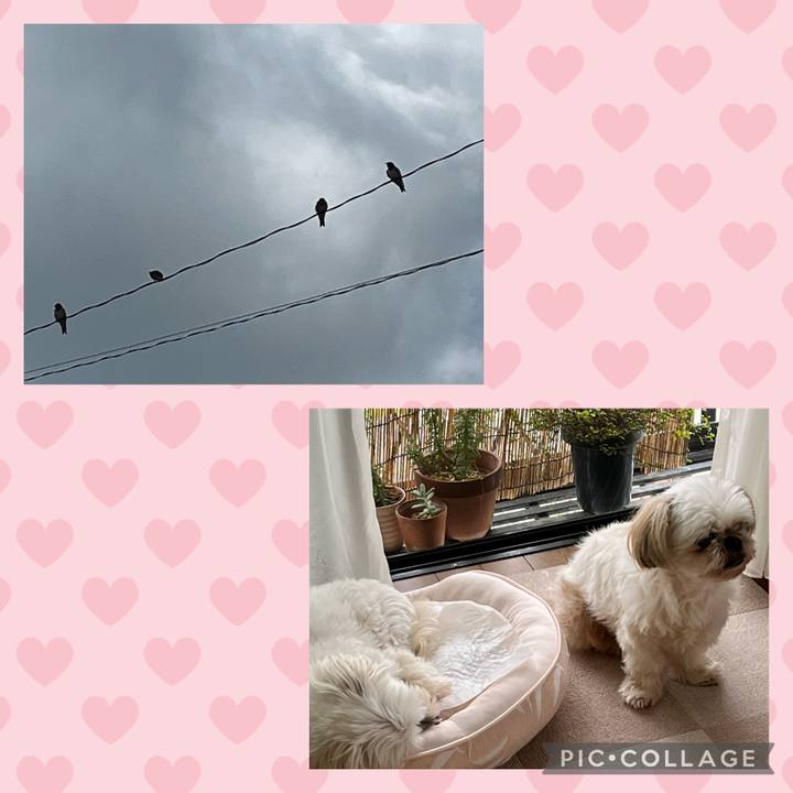 168198b5 504c 474e b9a9 4d5ba8048301 1654080314761